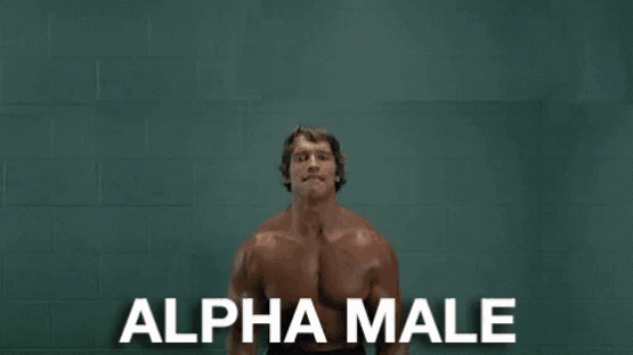 Alpha rise